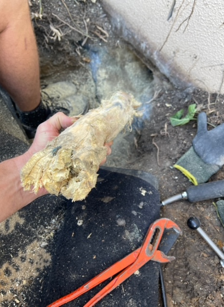 Debris pulled from drainage pipes in Elanora