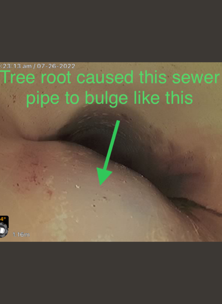 CCTV footage of inside of a pipe showing tree root pushing against pipe to create a bulge