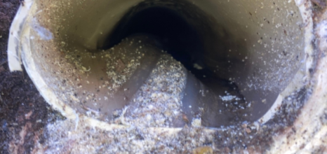 CCTV footage of inside of a pipe showing tree root pushing against pipe to create a bulge