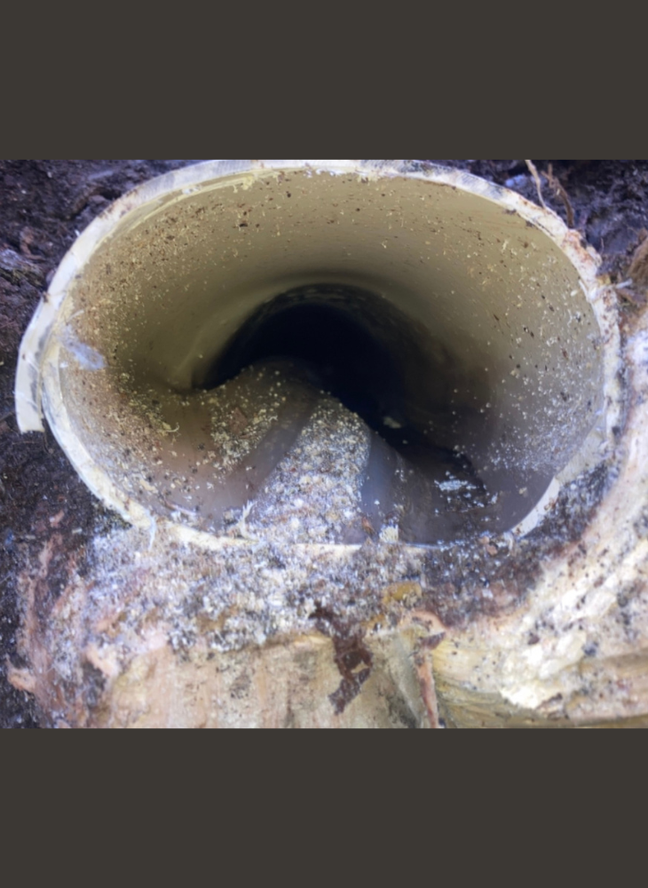 CCTV footage of inside of a pipe showing tree root pushing against pipe to create a bulge