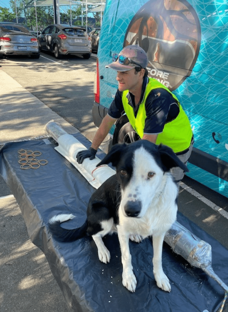 Emu team and dog mascot completing Murrarie sewer pipe relining