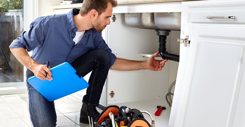 plumber assessing pipes under the sink